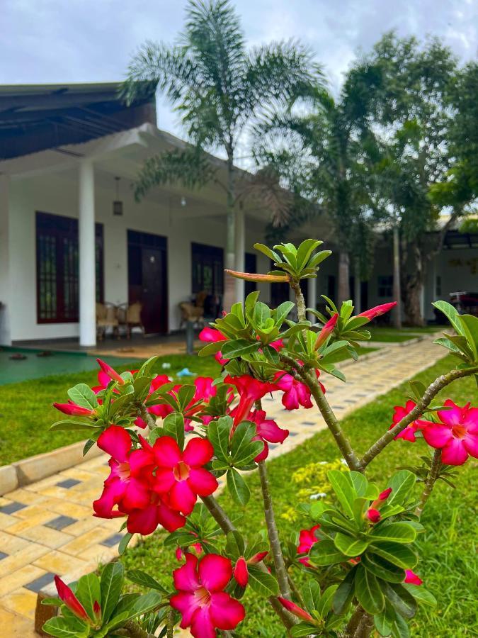 Sigiriya Green Garden Home Kültér fotó