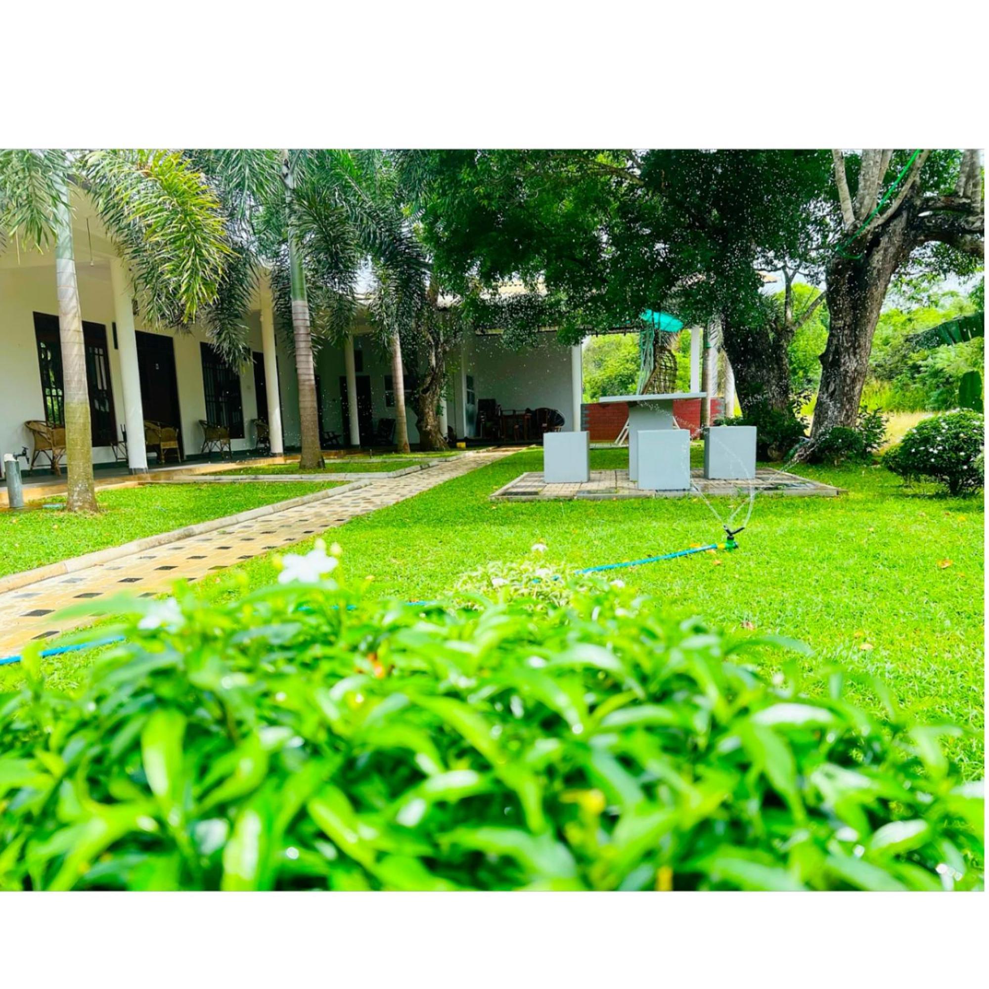 Sigiriya Green Garden Home Kültér fotó